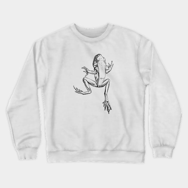 Frog Crewneck Sweatshirt by linesdesigns